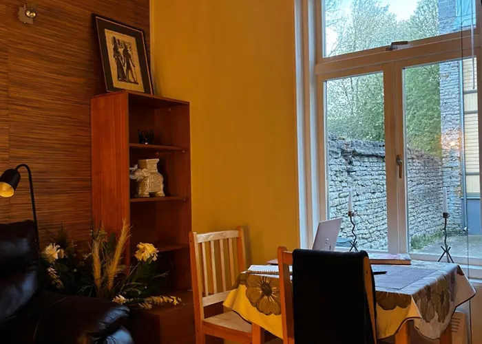 Cozy One In The Kalamaja District アパート *